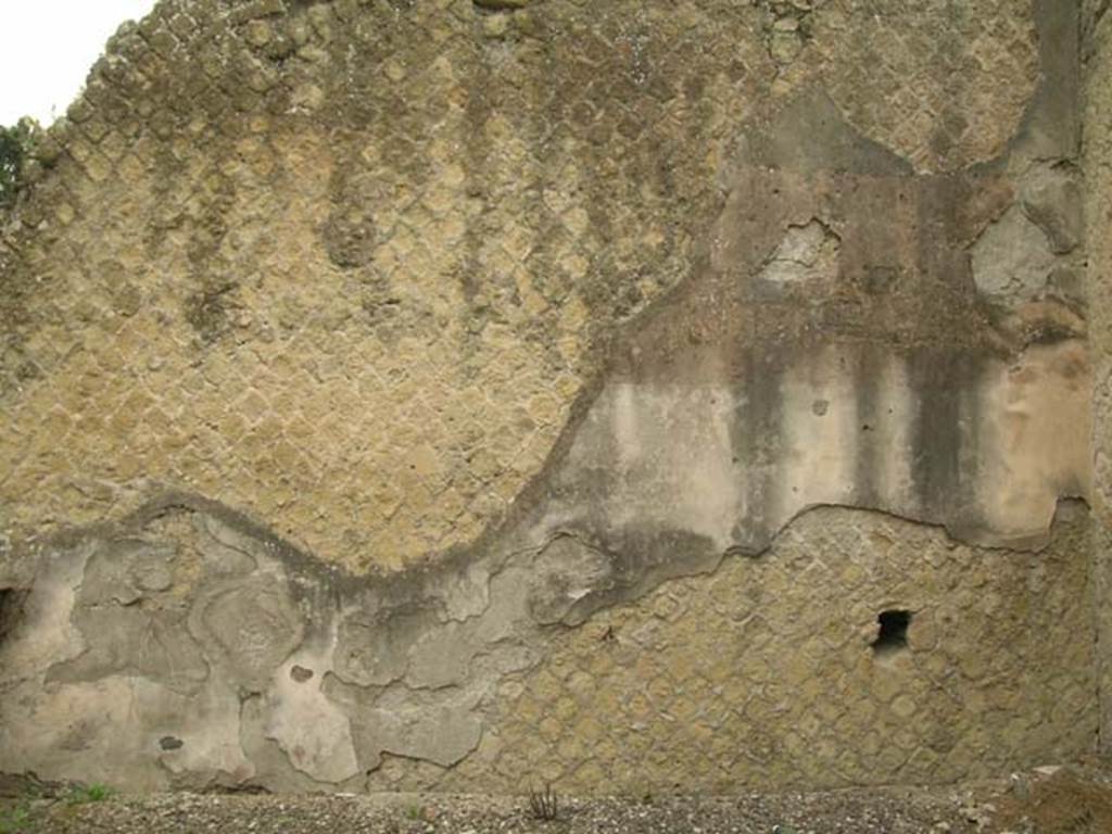 Ins Or II, 11, Herculaneum. June 2005. South wall of rear room. Photo courtesy of Nicolas Monteix.